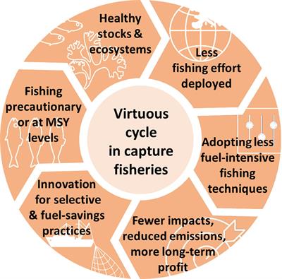 Reducing the Fuel Use Intensity of Fisheries: Through Efficient Fishing Techniques and Recovered Fish Stocks